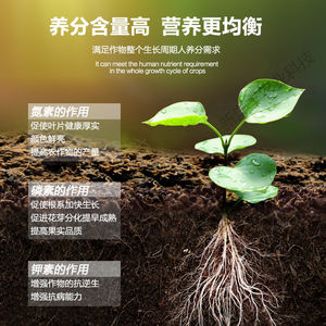 洋丰化肥14-16-15复合肥100斤通用型大袋农用种菜果蔬花肥料绿植