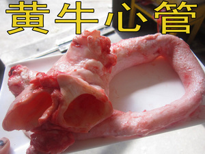 牛心管 1斤 牛黄喉 生鲜牛心管牛心管新鲜黄牛心管烧烤材料