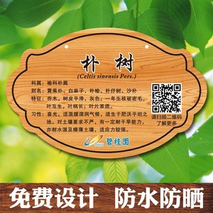 洋气银杏树雅榕花草牌亚克力植树节树牌植物挂牌树木认养介绍标识