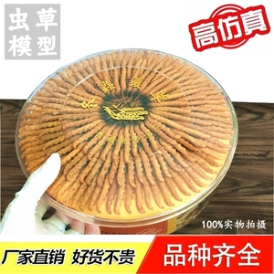 虫草模型仿真礼盒冬虫夏草样品档口店面陈列海参燕窝拍照展示道具