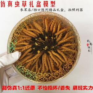 盒装虫草展示模型 冬虫夏草仿真模型礼盒装 100条一比一模型包邮