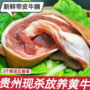 【黄牛肉新鲜现杀土黄】黄牛肉新鲜现杀土黄品牌,价格 - 阿里巴巴