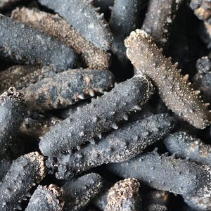 日本纯淡干关西参 海参 辽参 刺参50g刺参纯淡干海参关西辽参