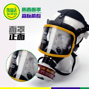 防毒面具 全面罩大视窗硅胶防毒面具 滤毒罐球形面罩正压式空气