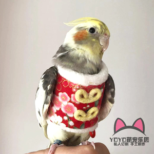 虎皮鹦鹉穿的衣服