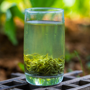 洞庭山碧螺春2019