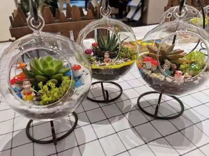 微景观多肉diy,手工制作暖场活动