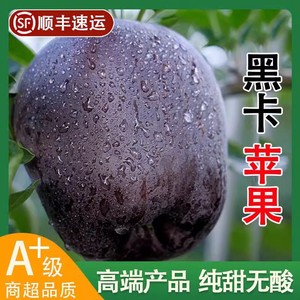 云南昭通黑卡苹果高端黑钻苹果香甜冰糖心一级当季新鲜水果整箱10