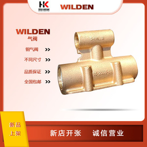 WILDEN威尔顿气动隔膜泵气阀铜气阀15-2000-07、换向阀