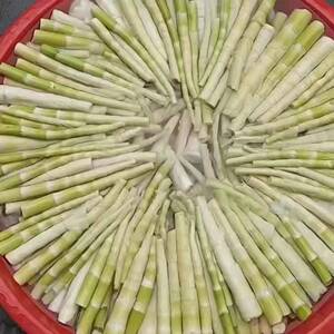 客家特产广东省揭西县大洋苦笋新鲜现挖500克1份