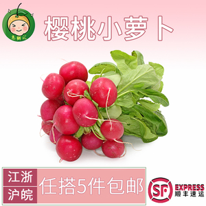 樱桃小红萝卜沙拉菜新鲜蔬菜杭州同城配送全国