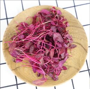 惠鲜汇 新鲜 火红苗 安曼红 酒店西餐摆盘装饰10g