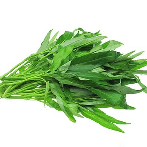 四季青梗柳叶空心菜种子 白骨通心菜 庭院 阳台盆栽白梗蔬菜种籽图片