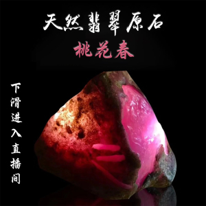 缅甸天然翡翠玉石原石 桃花春 冰种 春料 开窗料