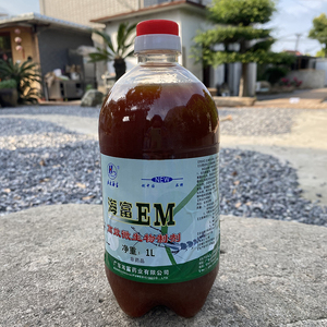 水产水族鱼池em菌原露消化细菌有益菌芽孢杆菌调水净水肥水爽水