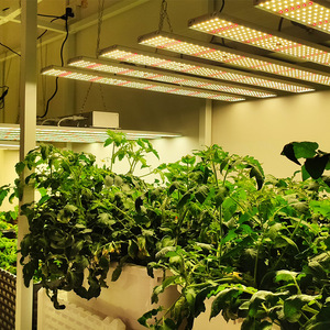 大功率1000w北美种植灯600w八爪鱼全光谱led植物生长补光灯