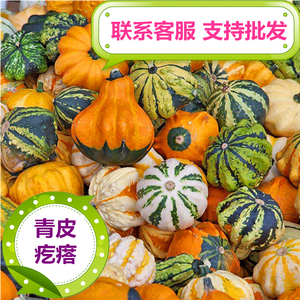 文玩可搭特色矮桩黄青皮彩白菜百财异形飞碟佛手疙瘩葫芦手捻烫画