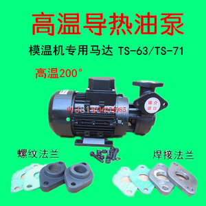 TS-63 71导热油泵 奥兰克款模温机循环泵WM-10 20 30耐高温200°C