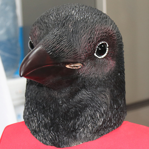 万圣节新款动物鸟头套乌鸦面具舞会通用装扮鬼脸道具影视表演饰品