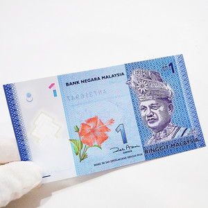 外国钱币全新unc马来西亚1林吉特塑料钞精美防伪收藏亚洲真品外币