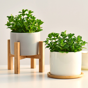 芳然旗舰店天猫千年木盆栽日系风格室内多头造型绿植大型植物客厅吸