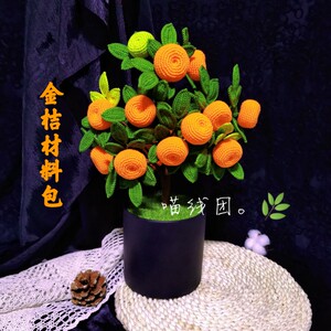喵线团手工金桔盆栽橘材料包盆景毛线钩针编织diy工艺品摆件装饰