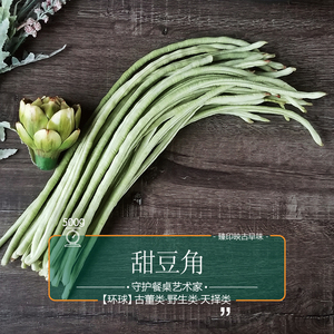 臻印映新鲜甜豆角珠仔豆胜似野生超越有机天生天养粉肉厚脆嫩好吃