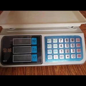 tb96759332淘宝霸王大红鹰大阳电瓶 永州佳友电子秤蓄电池4v4ah大河