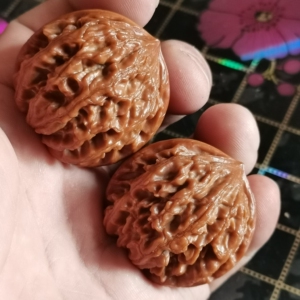 000人付款淘宝锦鲤知秋子核桃文玩纯野生血灯笼huangweifen0500.000