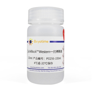 QuickBlock™ Western一抗稀释液 P0256 碧云天生物 Beyotime