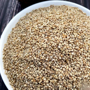 当年新生白芝麻500g一斤生芝麻黑白芝仁麻五谷杂粮新鲜食用包邮