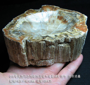 马达加斯加木化石原石手把件树化玉活化石把玩石烟缸摆件观赏收藏
