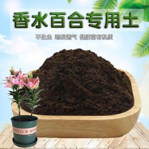 香水百合专用土百合花营养种植土壤种花泥土室内通用养花土有机肥