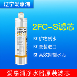 美国爱惠浦（Everpure）2FC-S净水器 家用直饮机 滤芯 进口2fcs芯