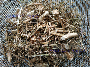 丁香蓼水冬瓜银仙草水油麻水杨柳红麻草野生中药材草药500g包邮