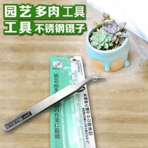 30免邮|园艺不锈钢弯头 直头 镊子多肉小盆栽种植夹 多肉工具