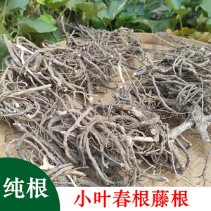 野生香藤子 春根藤 纯根 伸筋藤小叶春根藤煲汤泡酒药材500克包邮