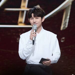 原版声生不息家年华何炅同款衬衫上衣v领新中式长袖衬衣男衣服潮