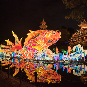 大型节日花灯鲤鱼灯笼造型国庆美陈灯展元旦庙会彩灯春节灯会