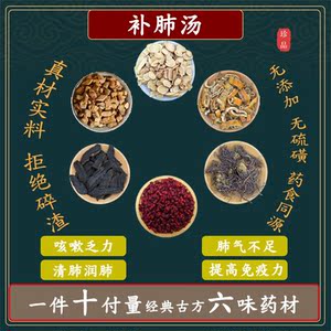 补肺汤黄芪紫菀五味子桑白皮熟地黄党参中药材组合调理包代茶饮