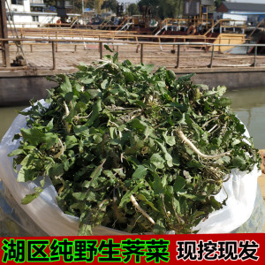 包邮现挖新鲜荠菜 天然蔬菜野菜地菜 野生秋荠荠菜 荠菜饺子馅3斤