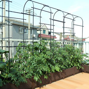种菜盆家庭小花盆种植箱屋顶菜园蔬菜菜盆室内户外阳台露台爬藤架