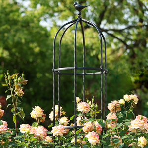花架爬藤架月季蔷薇玫瑰阳台植物藤架花园花柱园艺架子攀爬花支架