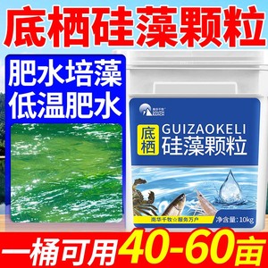 底栖硅藻颗粒水产养殖用硅藻藻种增氧培藻虾蟹鱼塘低温肥水净水质