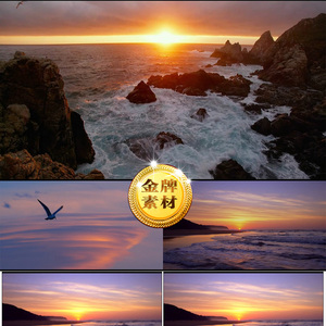 上海日出 朝阳日出 大海海浪 海上夕阳 海鸥飞翔高清实拍视频素材