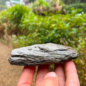 原生缸造景主石天然溪流石造景石片岩虾虎鳑鲏雷龙鱼乌龟晒台底砂
