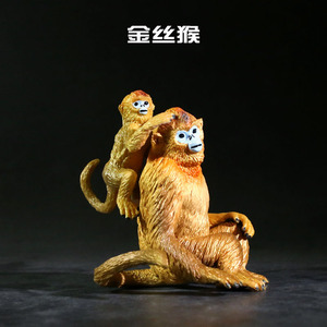 仿真金丝猴 小猴子模型 实心儿童塑料动物玩具礼物
