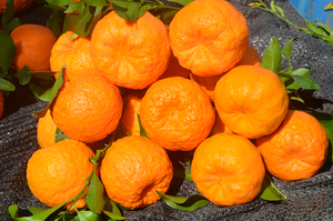 云南大理宾川椪柑新鲜当季热销水果现摘现发净重9斤【小果】秒杀