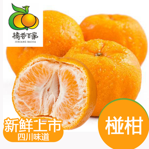 椪柑新鲜青神