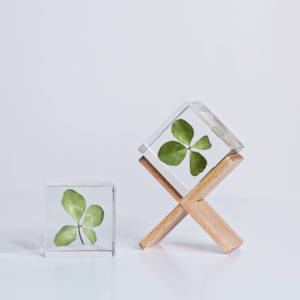 幸运四叶草标本滴胶树脂手工植物立方体表白祈福闺蜜女友圣诞礼物